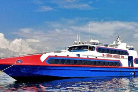 Gili Trawangan: Fast Boat Transfer to Serangan, Bali