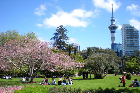 Auckland Family Tales: Stroll Through The City Of Sails Spanish guided tour