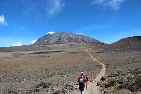 Monte Kilimanjaro: Trekking de 5 dias na Rota Marangu