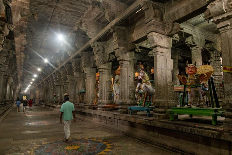 From Chennai: 6-Day Tamil Nadu Temple Tour with Guide