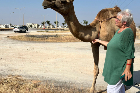 Salalah: West Coast Tour with Beaches and Cliffs