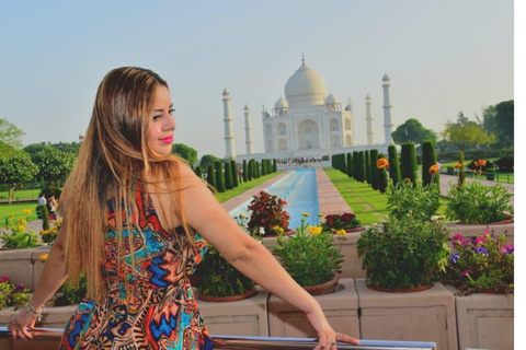 Desde Delhi: Excursión privada de un día al Taj Mahal y Agra con traslados