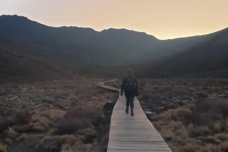 Tongariro Crossing Enkele reis vanaf Ketetahi Beveiligd Park n Ride