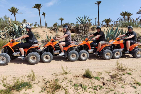 Djerba: quadrit van 1 uur en 30 minuten naar het eiland van de roze flamingo&#039;s