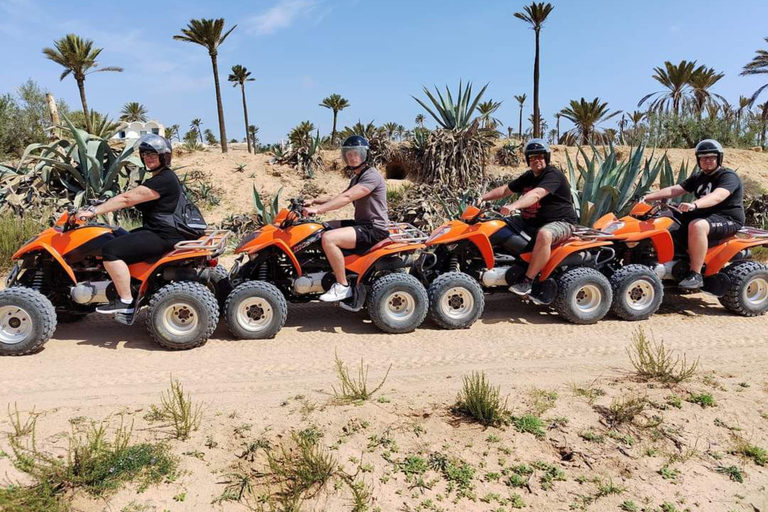 Djerba: quadrit van 1 uur en 30 minuten naar het eiland van de roze flamingo&#039;s