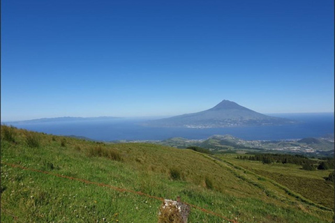 Faial Island Guided Eco Van Tour Half Day Shared Eco Tour