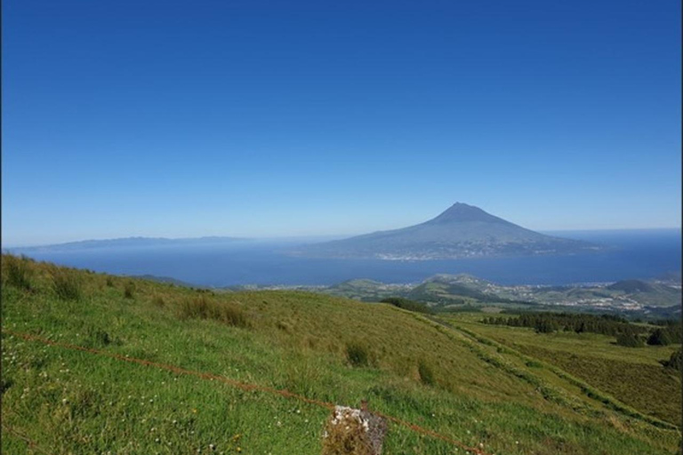 Faial Island Guided Eco Van Tour Half Day Shared Eco Tour