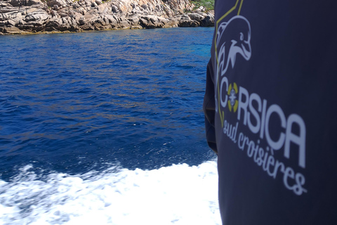 Porto-Vecchio : visite de l&#039;archipel des Lavezzi et de l&#039;île de CerbicalePorto-Vecchio : visite de l&#039;archipel des Lavezzi et de l&#039;île de Cerbicales