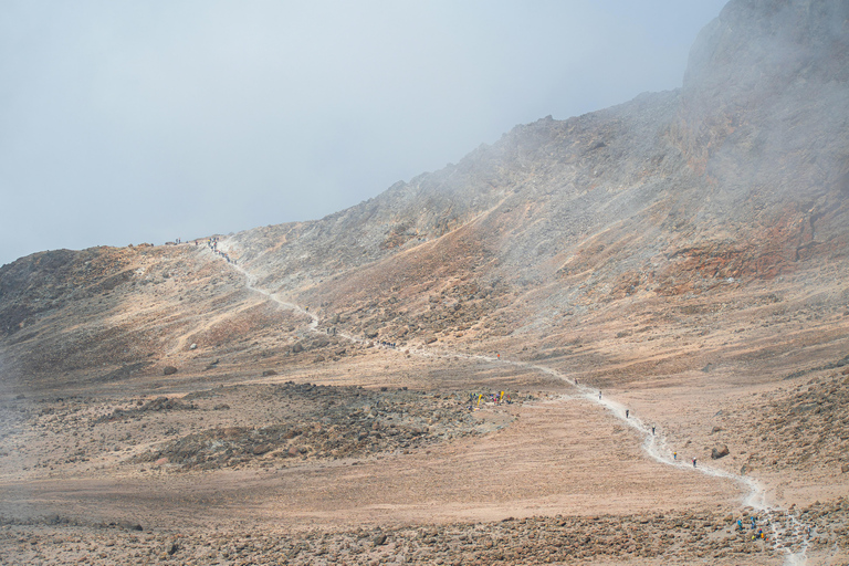 Arusha: 7-Day Kilimanjaro Lemosho Route Trek with Hotel Stay