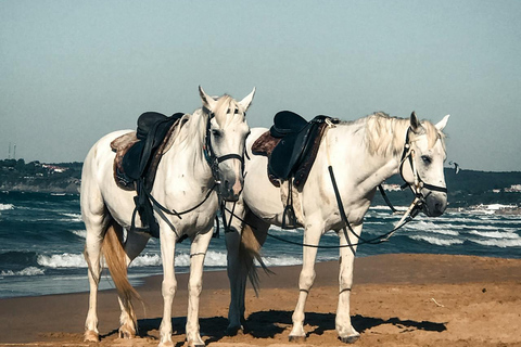 Tobago: Scenic Buccoo Bay Horseback Trail Ride