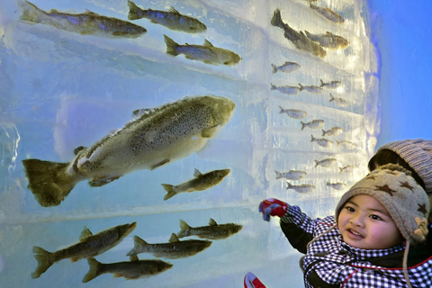 Sapporo: Lake Shikotsu Ice Festival &amp; Hot Spring Day Trip