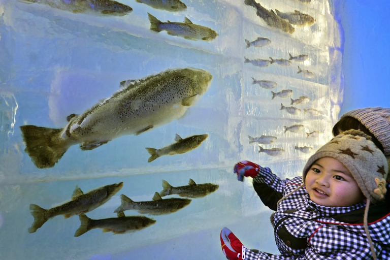 Sapporo: Lake Shikotsu Ice Festival &amp; Hot Spring Day Trip