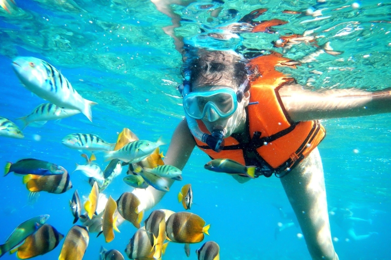 Puerto Morelos: Snorkel Trip z lunchem