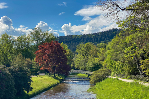 From Frankfurt: Baden-Baden Private Full-Day Trip with Guide