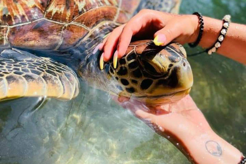 Zanzibar : baignade avec les tortues de mer et croisière en boutre au coucher du soleil