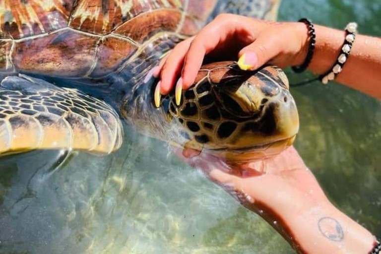 Zanzibar : baignade avec les tortues de mer et croisière en boutre au coucher du soleil