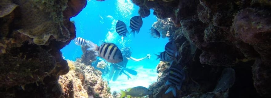 SAN ANDRES : EXPÉRIENCE SOUS-MARINE SNUBA