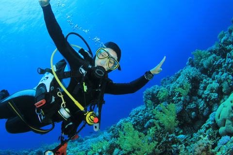 Darwin Bay and Carawa: Scuba diving without certification with gear in the Galapagos Darwin Bay and Carawa: Scuba diving without certification in the Galapagos
