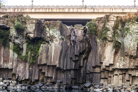 Jeju Occidental y Meridional: Excursión al Festival de la Hortensia