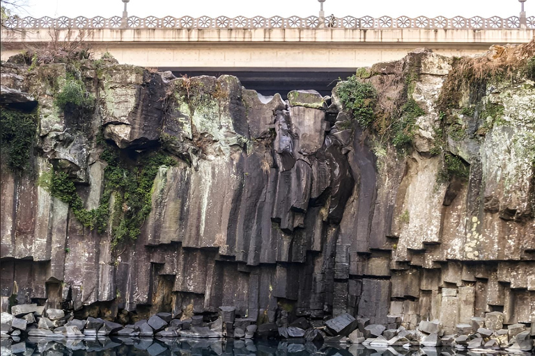 Jeju Occidental y Meridional: Excursión al Festival de la Hortensia