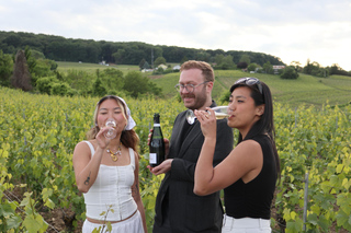 Parigi/Reims/Épernay: tour con 4 degustazioni di Champagne