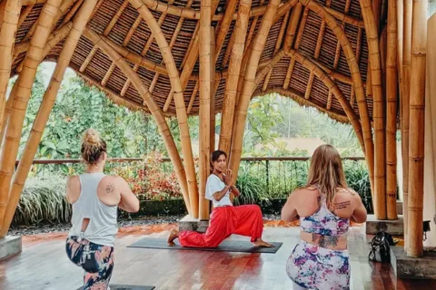 Bali: Privat yoga og healende meditation i Ubud