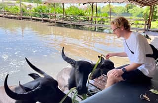 Suphan Buri ab BKK: Büffeldorf & Tempel der Glückskatze – Tour