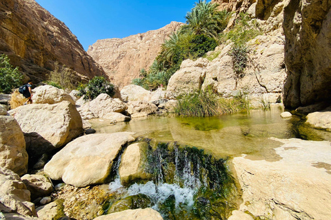 Mascate: Jornada completa en Wadi Shab y el sumidero de Bimmah + almuerzo libre