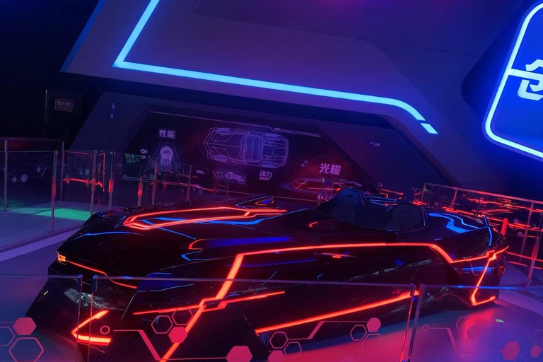 Shanghai: Maglev Train and Disneyland Private Day Trip