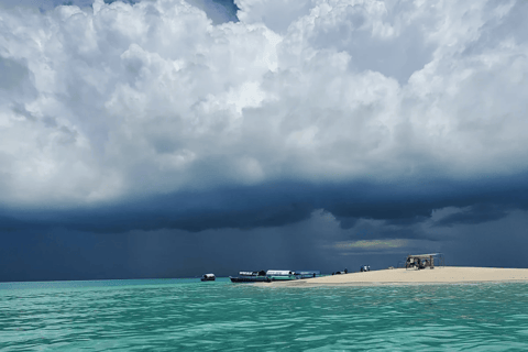 Zanzibar Best: Mnemba Island, Jozani Forest & Butterfly Tour Tour with Hotel pick up and drop-off included