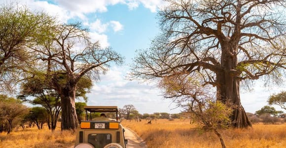 From Zanzibar: 3-Day Tanzania Safari: Tarangire & Ngorongoro