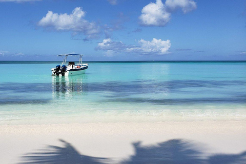 From Punta Cana: Saona Island Speedboat and Catamaran Tour VIP: All-Inclusive Trip to Saona Island Paradise