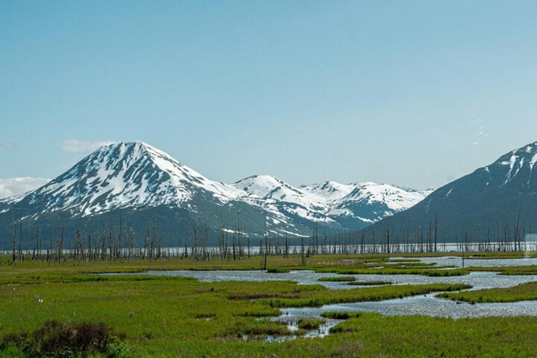 Hatcher Pass & Reindeer Adventure Tour – Anchorage Pickup