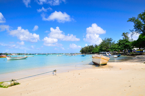 Playa Pública de Tamarin: Natación con delfines y snorkel con barbacoa