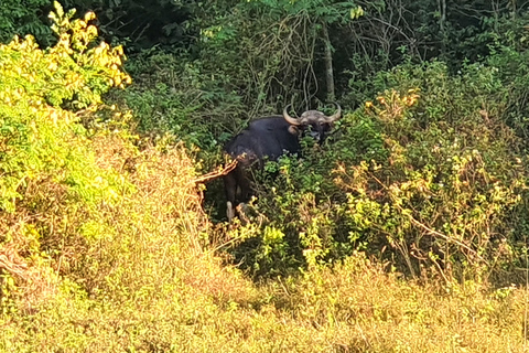 Phuket or Anywhere: Private Boat Cheow Lan Lake>Diamond Cave Option 2: From Krabi with Roundtrip Hotel Transfer