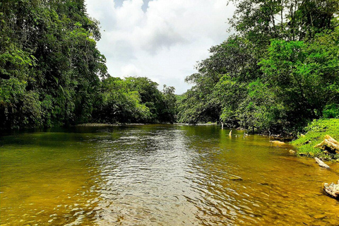Cali: San Cipriano Reserve, Brujita Ride & Jungle Tubing San Cipriano Reserve Tour Without Transportation