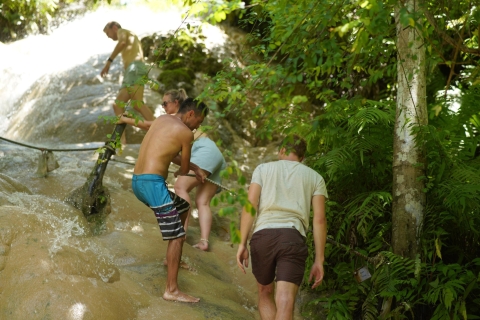 Chiang Mai: Abenteuer Klebriger Wasserfall (Bua Tong Wasserfälle)