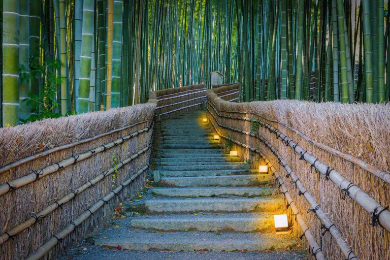 Kyoto & Nara: Private Full-Day Tour with Hotel Pickup