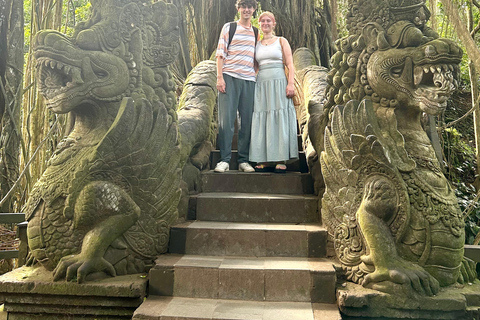 Ubud Waterfall, Temple, Rice Terrace & Art with Transfers