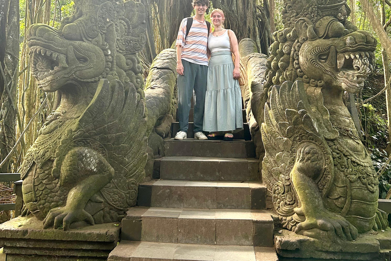 Ubud Waterfall, Temple, Rice Terrace & Art with Transfers