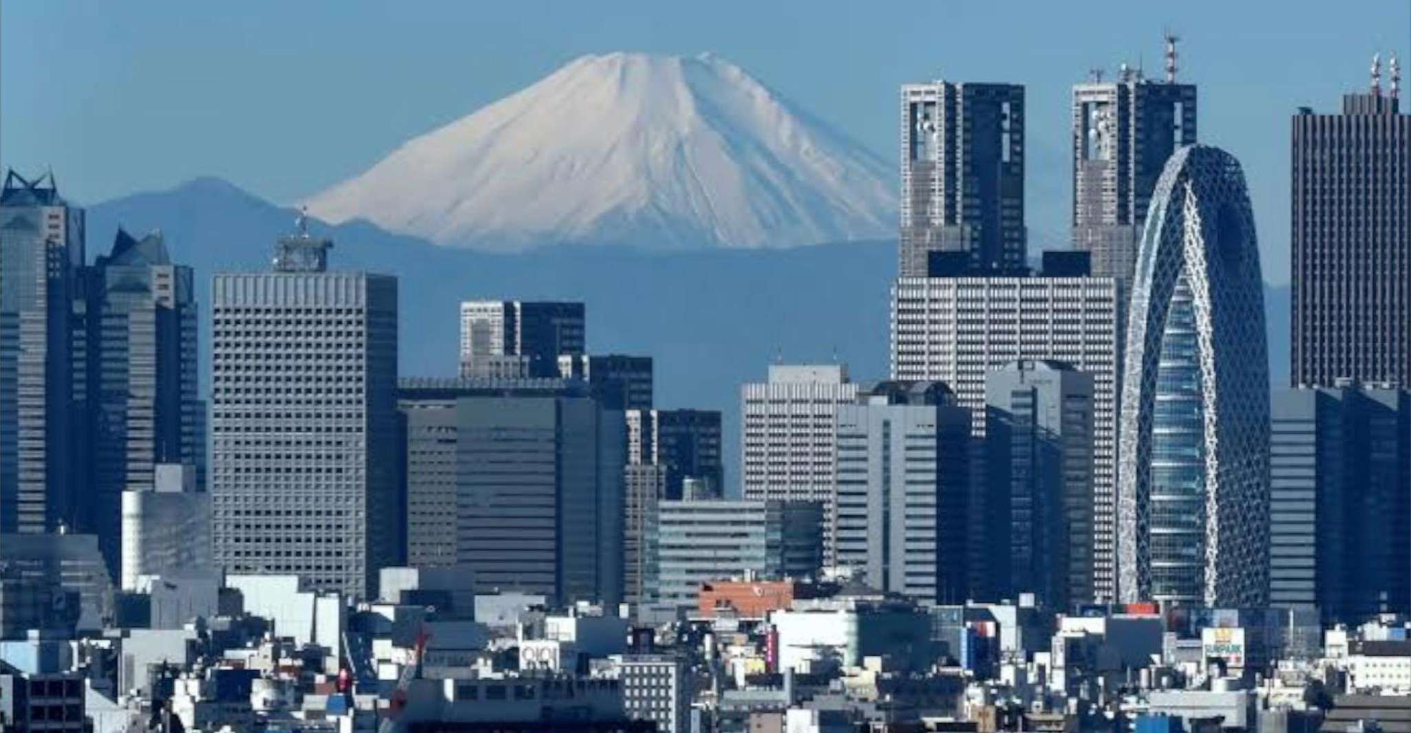 Tokyo, tour privato di mezza giornata con esperti locali - Hizvo