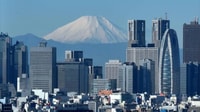 Tokyo, Visite privée d'une demi-journée avec un expert local - Hizvo