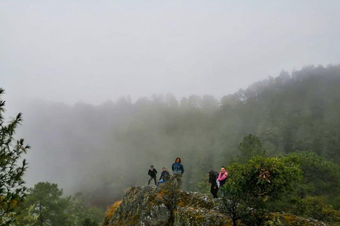 From Oaxaca: Hierve el Agua, Mitla, Tule Tree &amp; Mezcal Tour