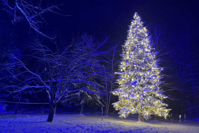 Sapporo: Hokkaido Biei Best 5 Photo Spots Day Tour Shared Tour, Meet at Odori Station