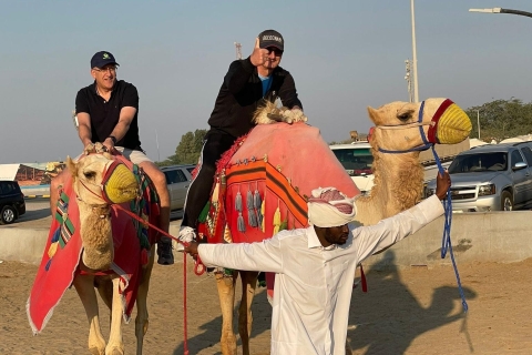 Qatar Desert Safari Tour ( Sand Boarding, Camel Ride) DESERT