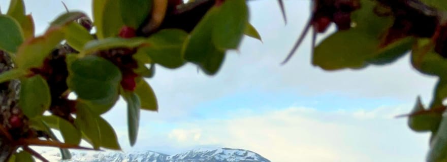 Patagonie : excursion en kayak à Puerto Natales avec pique-nique