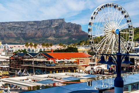 Półdniowa wycieczka na wyspę Robben z prywatnym transferem w obie strony