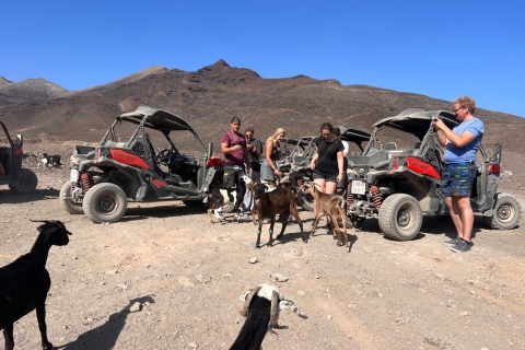 Fuerteventura : Excursión en buggy por el sur de la islaCochecito para 2 personas