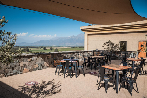 Expérience Haras : escapade dans les vignobles, vin et dégustationsExpérience Icono – 4 dégustations de vin