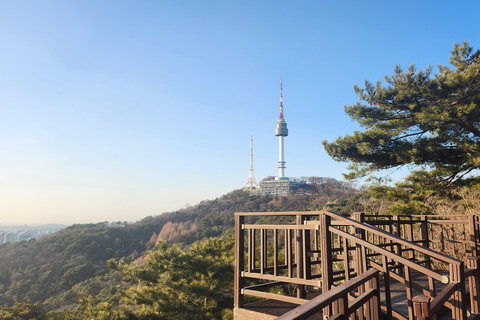 Seúl: Servicios de un lugareño por un día (Trámites/Tour/Diversión)